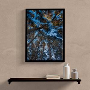 Quadro Arvores Céu Azul