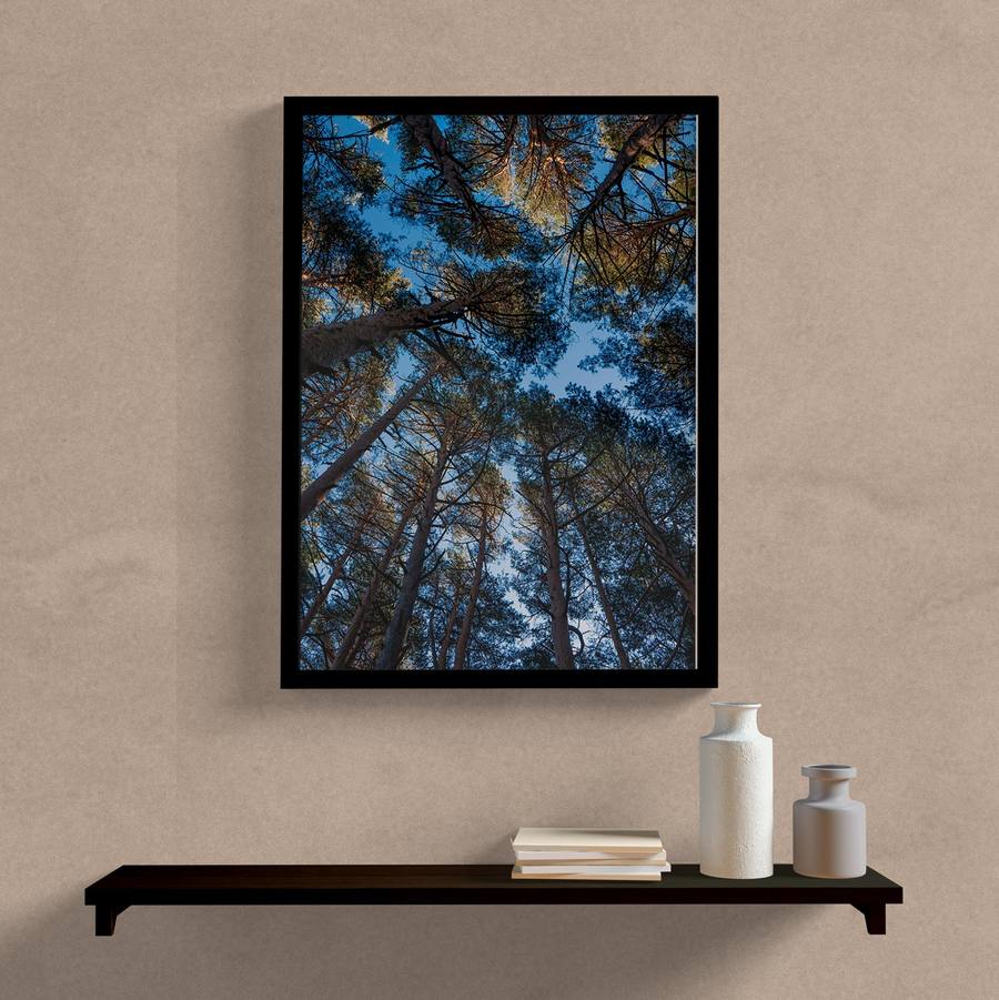Quadro Arvores Céu Azul