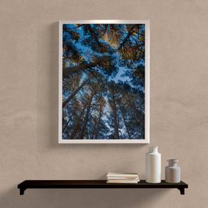 Quadro Decorativo Árvores com Céu Azul - detalhe da moldura e acabamento