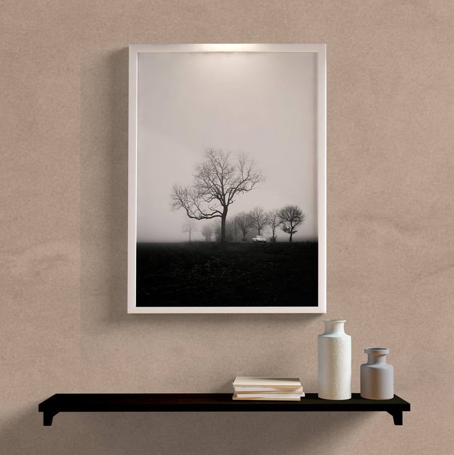 quadro arvores no nevoeiro