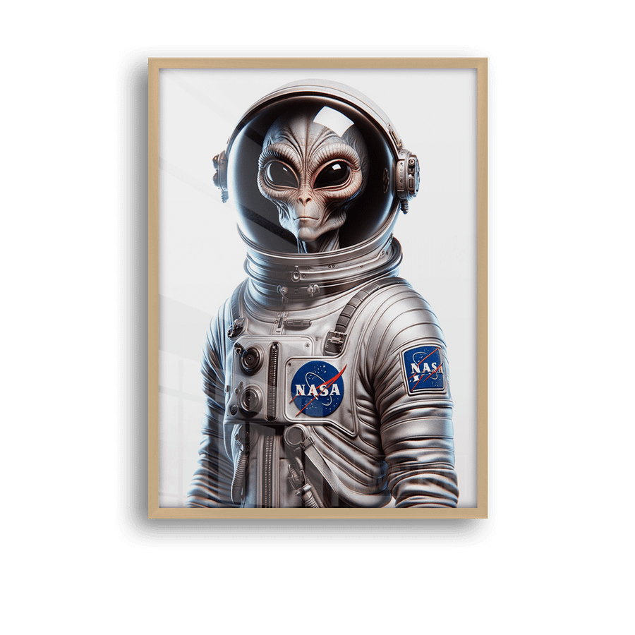 Quadro Decorativo Astronauta Alienígena - imagem 8