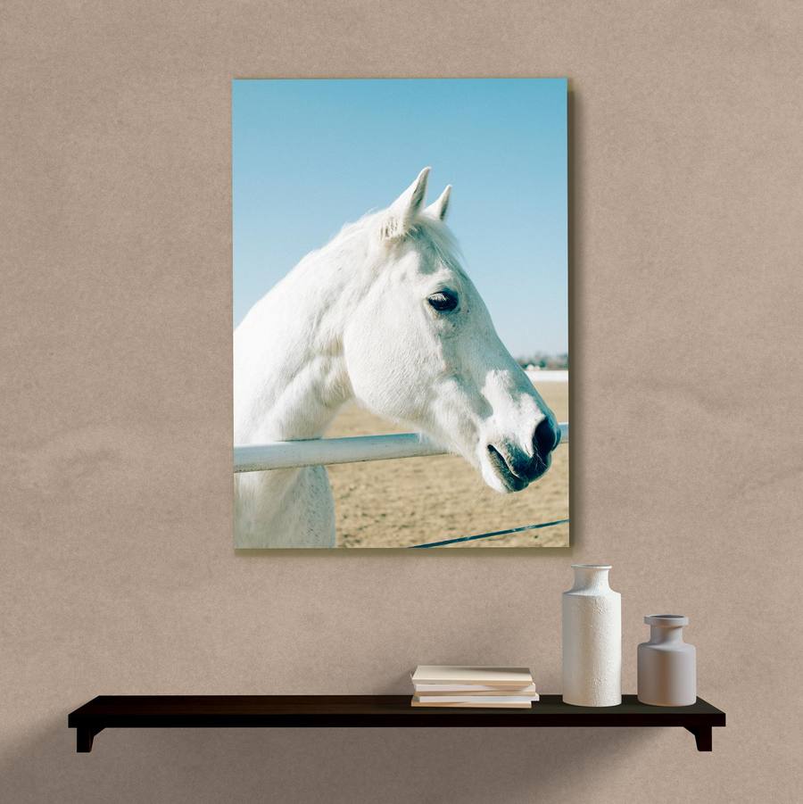 Quadro Decorativo Cavalo - quadro decorativo em ambiente decorado