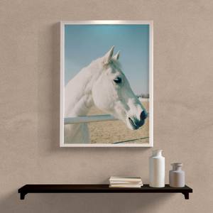 Quadro Decorativo Cavalo