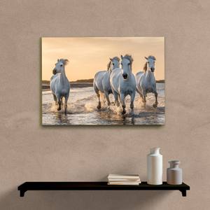 Quadro Decorativo Cavalos - quadro decorativo em ambiente decorado