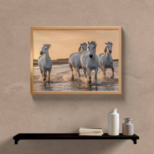 Quadro Decorativo Cavalos - imagem 5