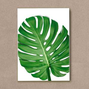 Quadro Decorativo Costela de Adão - quadro decorativo em ambiente decorado