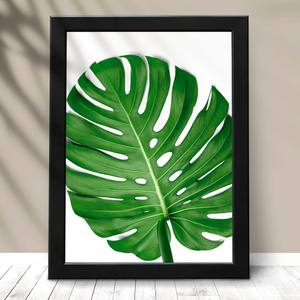 Quadro Decorativo Costela de Adão