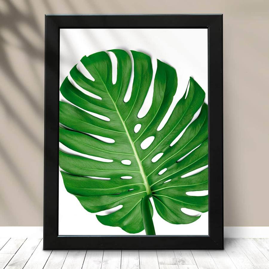 Quadro Decorativo Costela de Adão