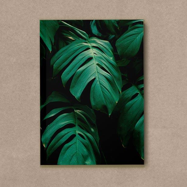 Quadro Decorativo Costela de Adão - quadro decorativo em ambiente decorado
