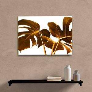 Quadro Decorativo Costela de Adão - imagem 5