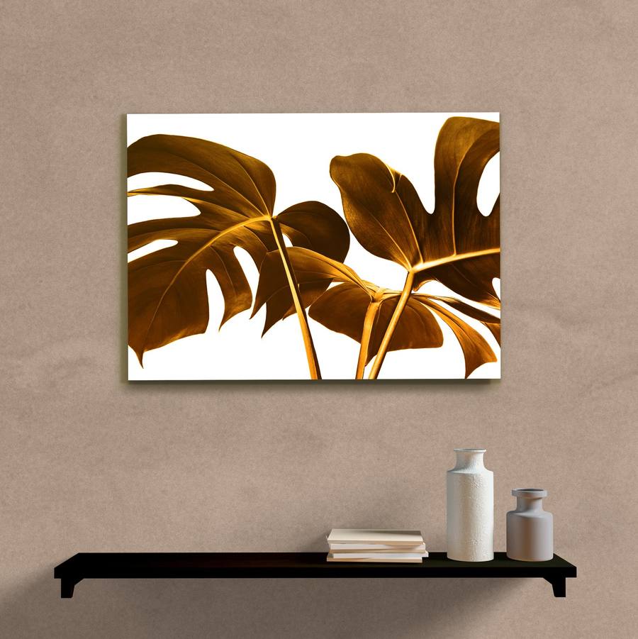 Quadro Decorativo Costela de Adão - imagem 5