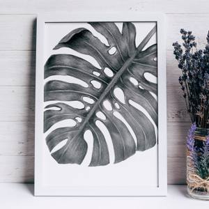 Quadro Decorativo Costela de Adão | Wallze