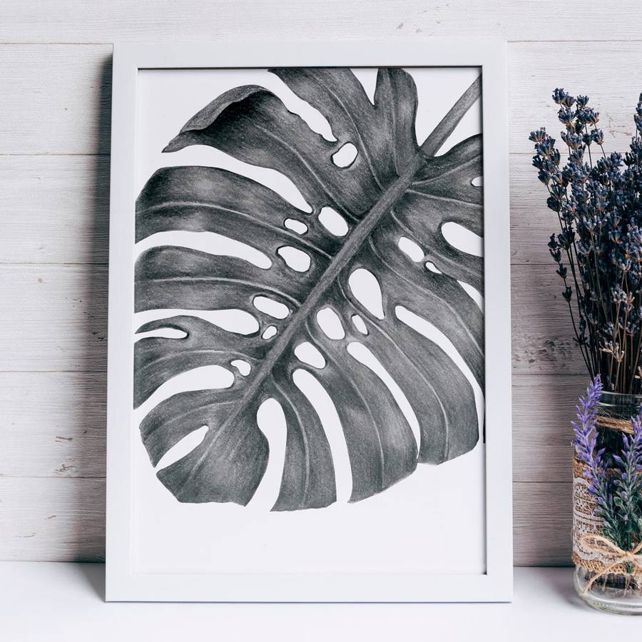 Quadro Decorativo Costela de Adão | Wallze