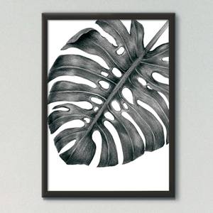 Quadro Decorativo Costela de Adão - detalhe da moldura e acabamento