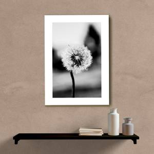 Quadro Decorativo Dente de Leão P&B - quadro decorativo em ambiente decorado