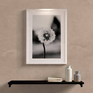 Quadro Decorativo Dente de Leão P&B - detalhe da moldura e acabamento