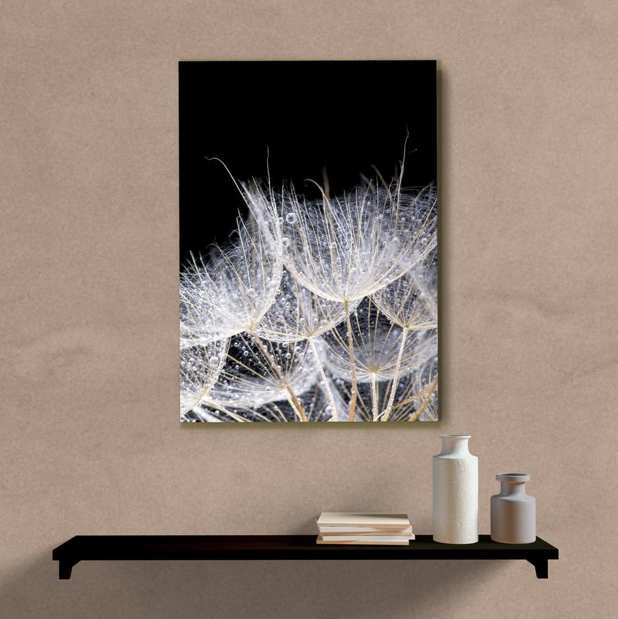 Quadro Decorativo Dente de Leão Preto e Branco - imagem 5