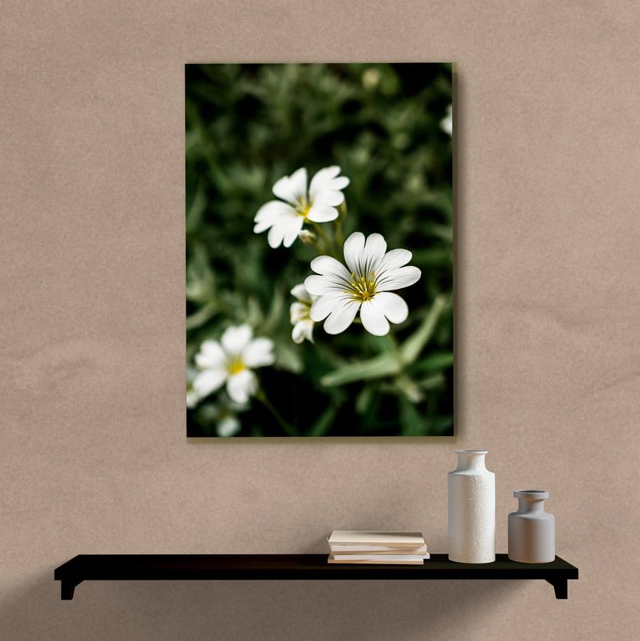Quadro Decorativo Flor Branca - quadro decorativo em ambiente decorado
