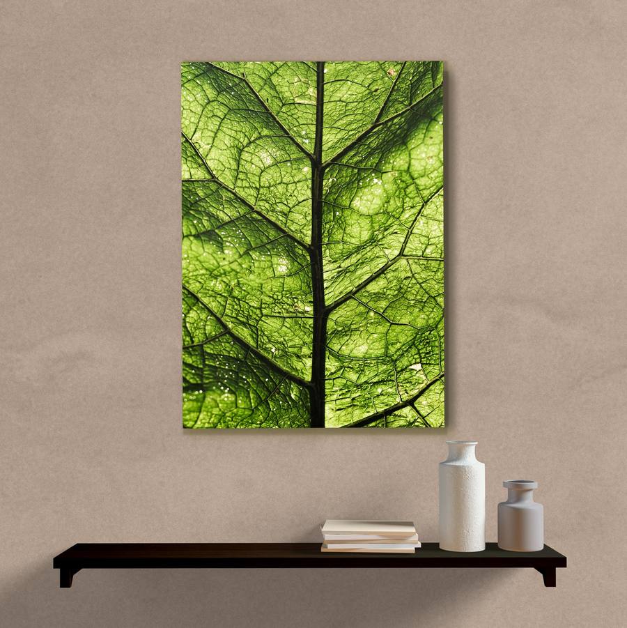 Quadro Decorativo Folha - quadro decorativo em ambiente decorado