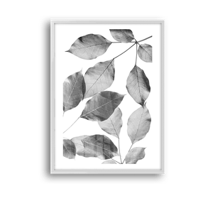 Quadro Decorativo Silhuetas Folhares - imagem 6