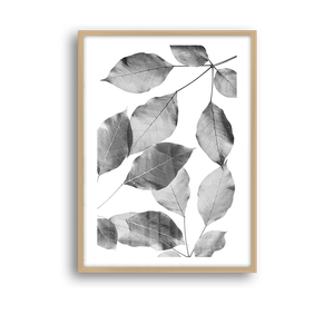 Quadro Decorativo Silhuetas Folhares - imagem 8