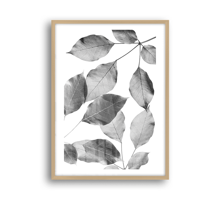 Quadro Decorativo Silhuetas Folhares - imagem 8