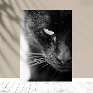Quadro Decorativo Gato black - quadro decorativo em ambiente decorado