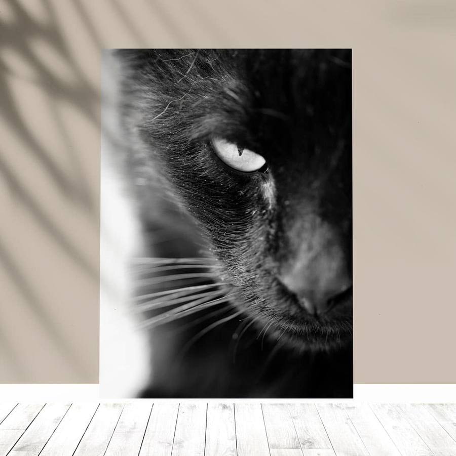 Quadro Decorativo Gato black - quadro decorativo em ambiente decorado
