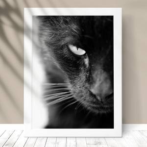 Quadro Gato black