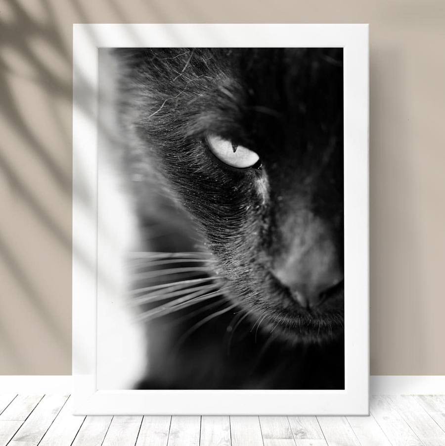 Quadro Gato black