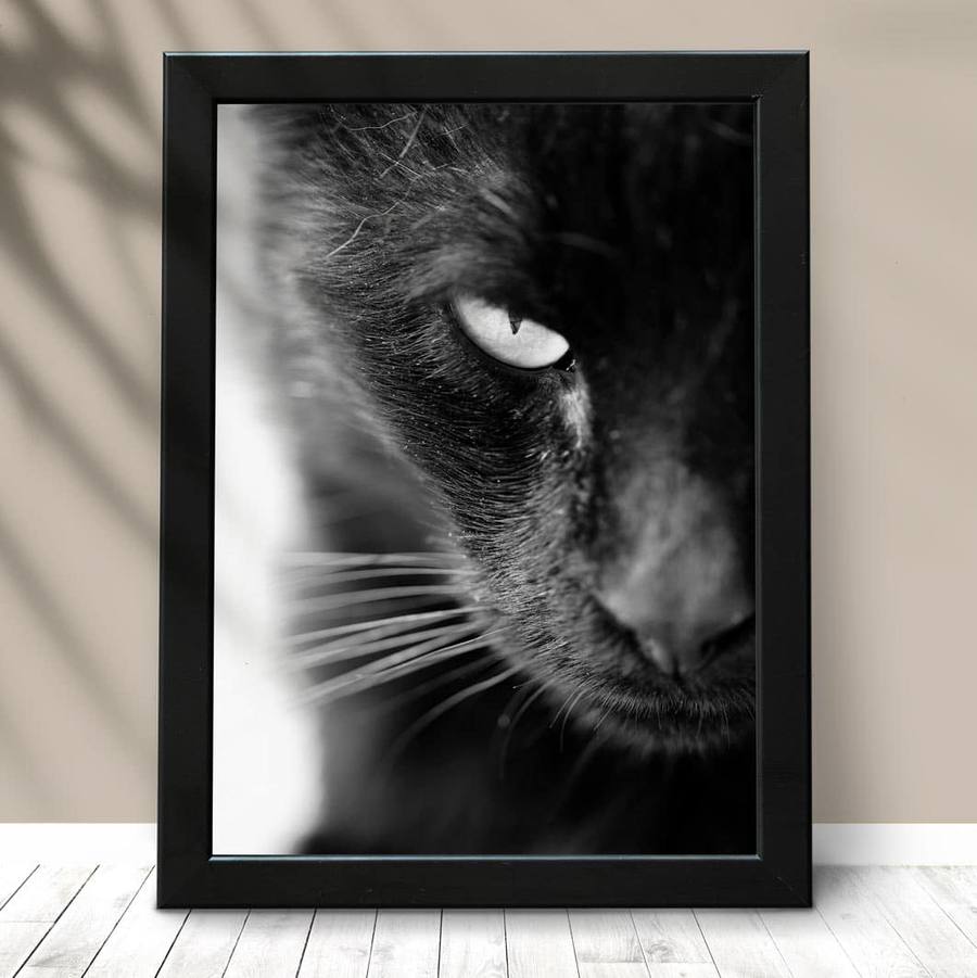 Quadro Decorativo Gato black - detalhe da moldura e acabamento