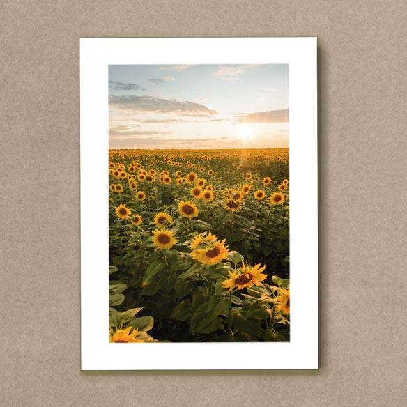Quadro Decorativo Girassol - quadro decorativo em ambiente decorado