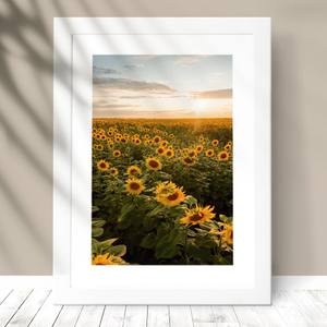 Quadro Decorativo Girassol - detalhe da moldura e acabamento