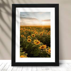Quadro Decorativo Girassol
