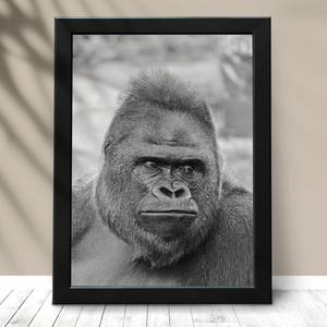 Quadro Gorila