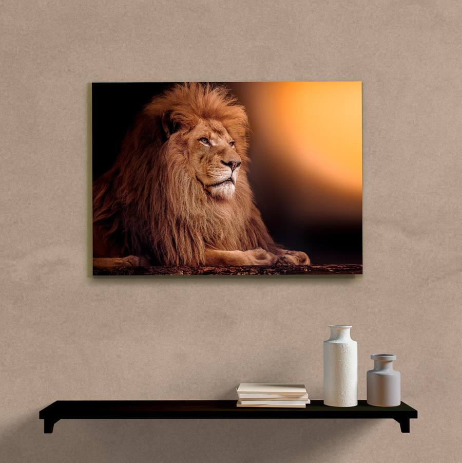 Quadro Decorativo Leão II - imagem 5