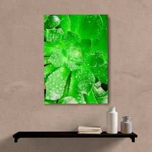 Quadro Decorativo Planta Verde - quadro decorativo em ambiente decorado