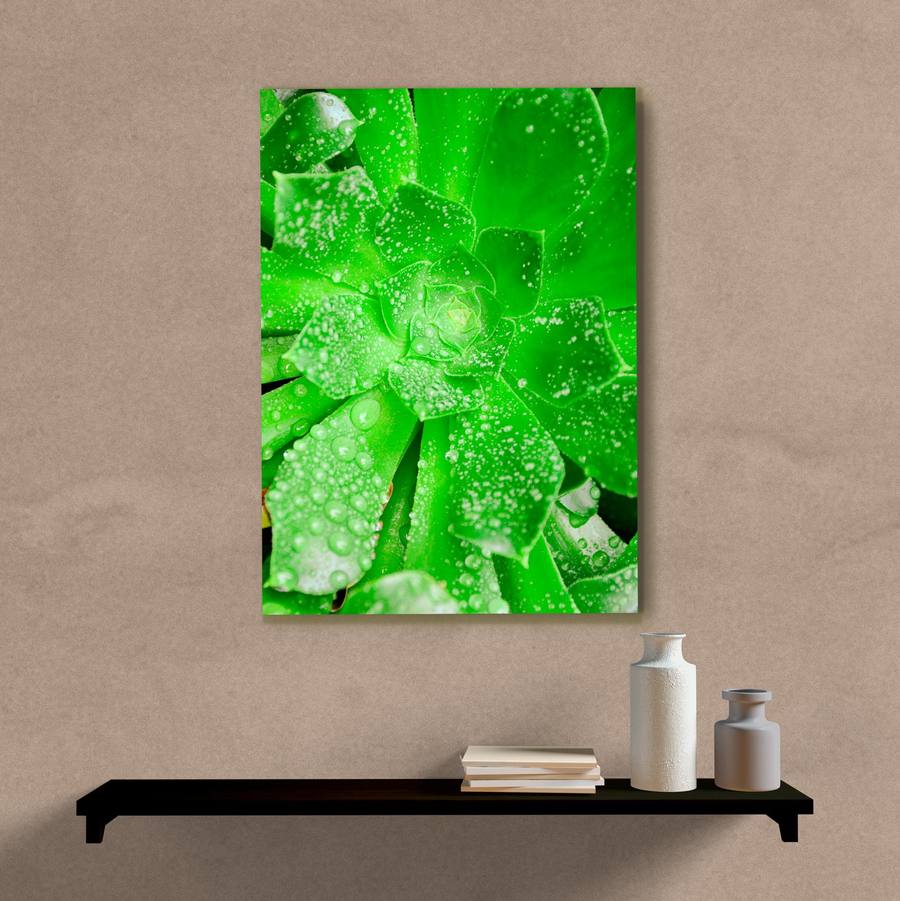 Quadro Decorativo Planta Verde - quadro decorativo em ambiente decorado
