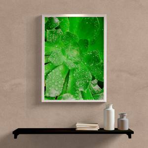 Quadro Decorativo Planta Verde - detalhe da moldura e acabamento