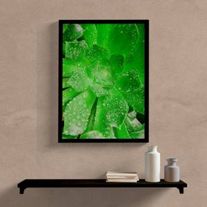 Quadro Planta