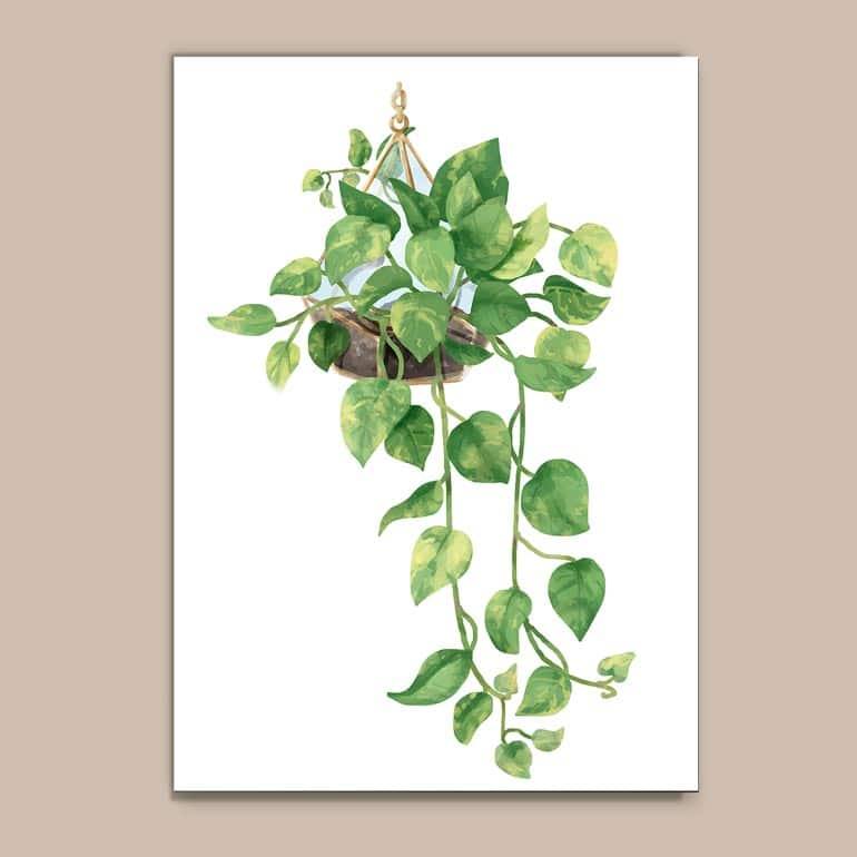 Quadro Decorativo Planta - quadro decorativo em ambiente decorado