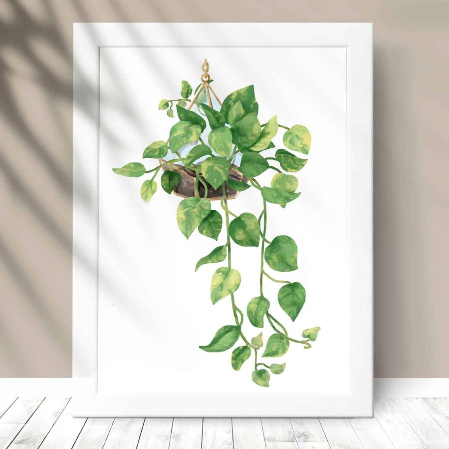 Quadro Decorativo Planta - detalhe da moldura e acabamento