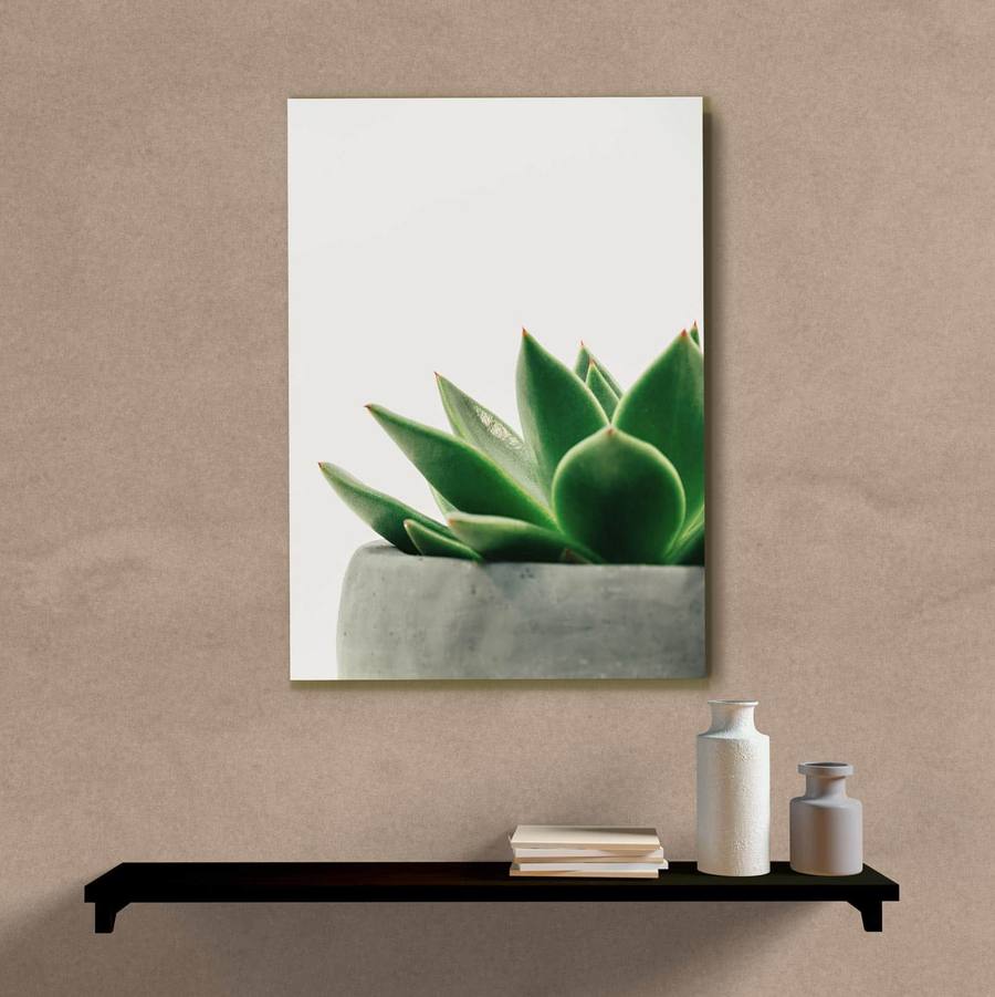 Quadro Decorativo Suculenta - imagem 5