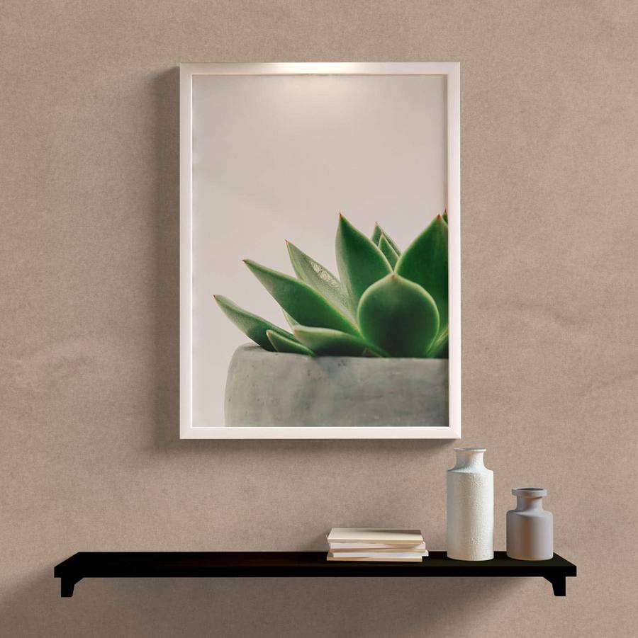 Quadro decorativo suculenta minimalista