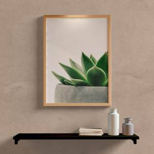Quadro Decorativo Suculenta - quadro decorativo em ambiente decorado