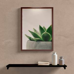 Quadro Decorativo Suculenta - vista aproximada da impressão