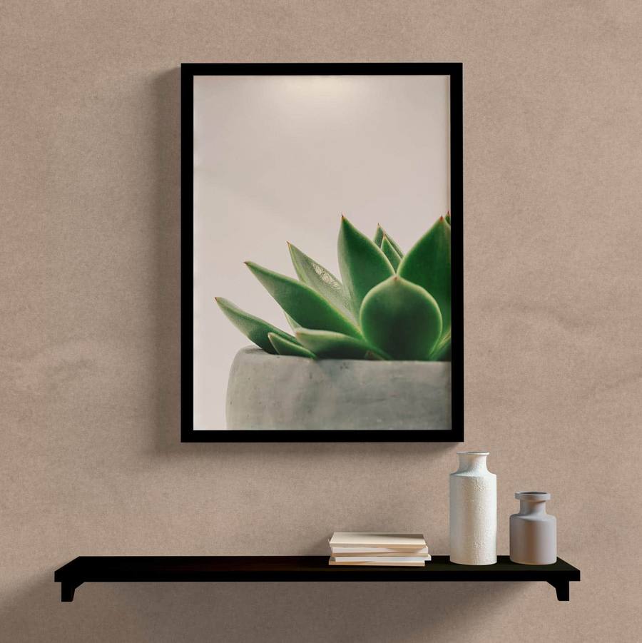 Quadro Decorativo Suculenta - detalhe da moldura e acabamento