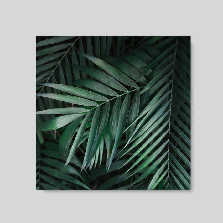 Quadro Decorativo Folhagem - detalhe da moldura e acabamento