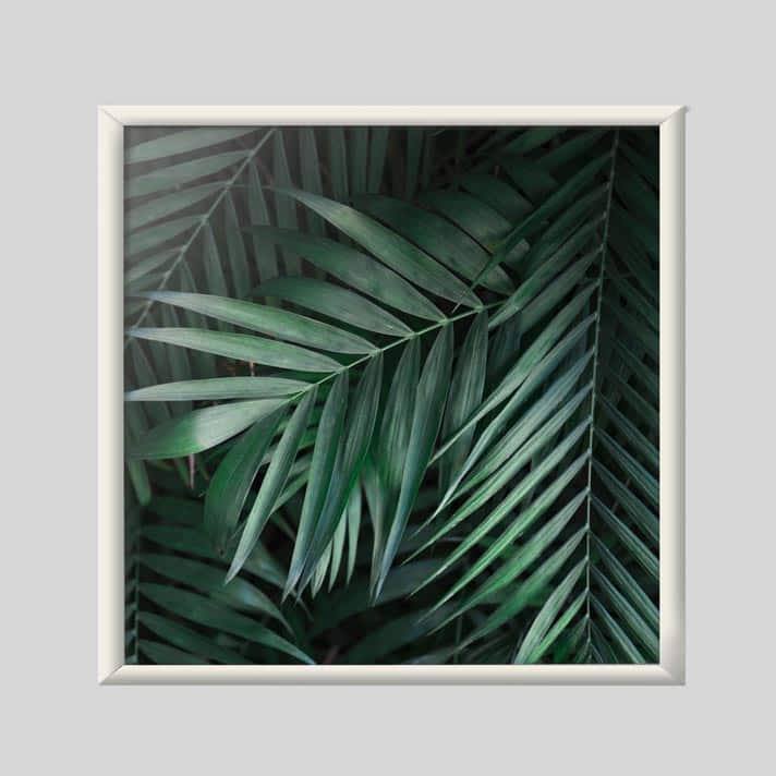 Quadro Decorativo Folhagem - quadro decorativo em ambiente decorado