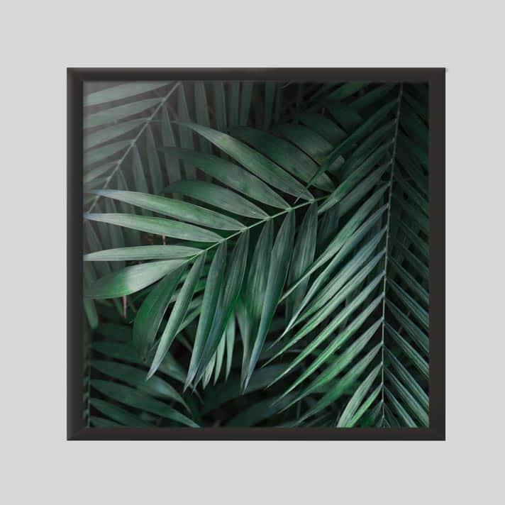 Quadro Decorativo Folhagem | Wallze